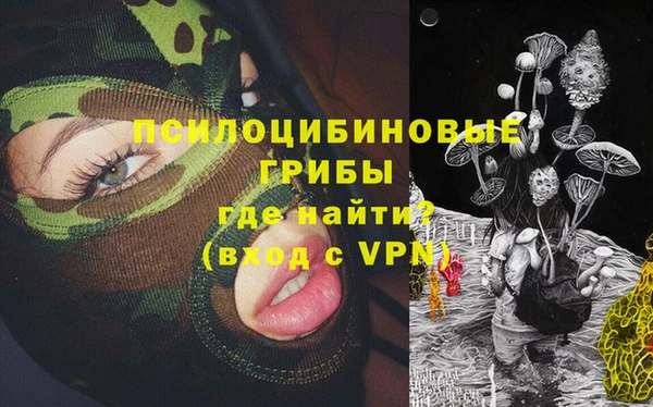 ECSTASY Алексин