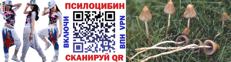 купить  сайты  Починок  Псилоцибиновые грибы ЛСД 